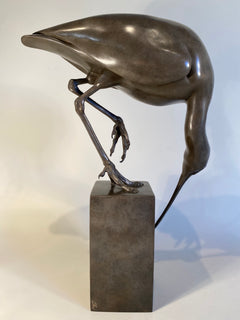 Ibis