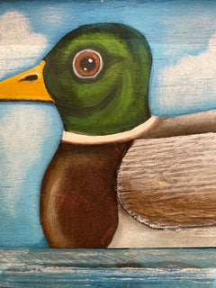 Mallard Duck
