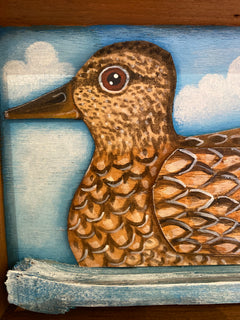 Mallard Duck