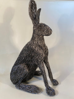 Hare