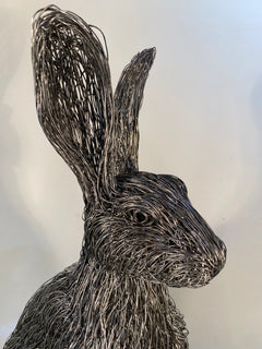 Hare