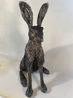 Hare