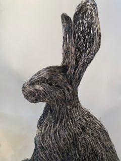 Hare