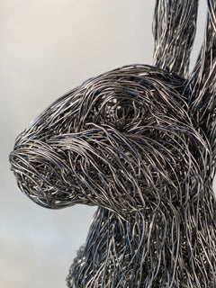 Hare