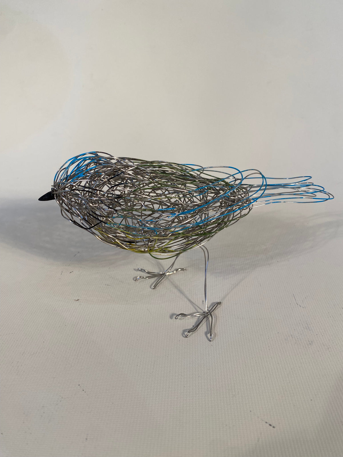 Blue Tit