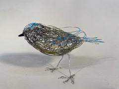 Blue Tit
