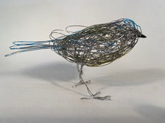 Blue Tit