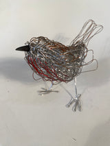 Robin