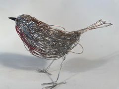 Robin