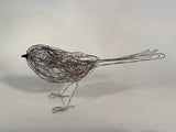 Long Tailed Tit