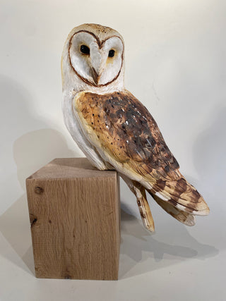 "Barn Owl on Wood" available at Artifex 