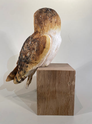 "Barn Owl on Wood" available at Artifex 