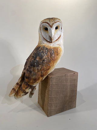 "Barn Owl on Wood" available at Artifex 