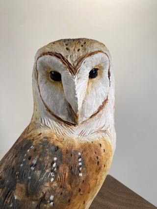 "Barn Owl on Wood" available at Artifex 