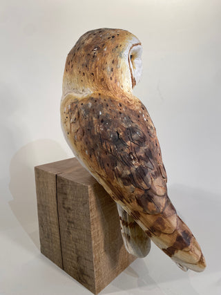 "Barn Owl on Wood" available at Artifex 