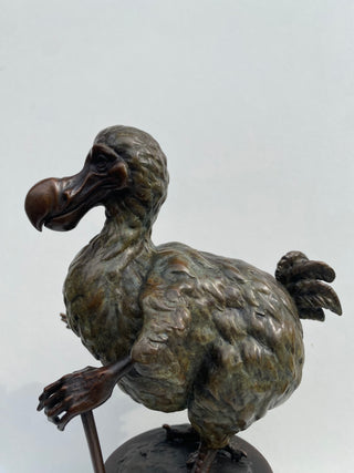 "Dodo" available at Artifex 