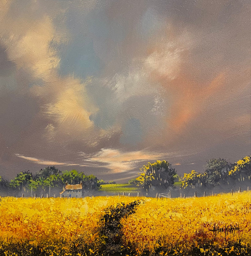 Harvest Walk