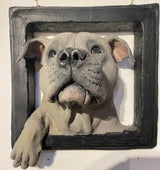 Wall Framed Dog