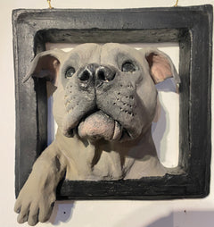 Wall Framed Dog