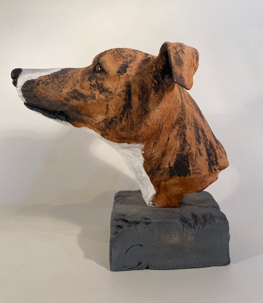 Greyhound Bust