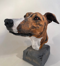 Greyhound Bust