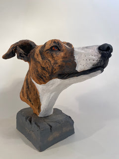 Greyhound Bust