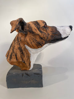 Greyhound Bust