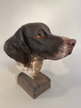Pointer Bust
