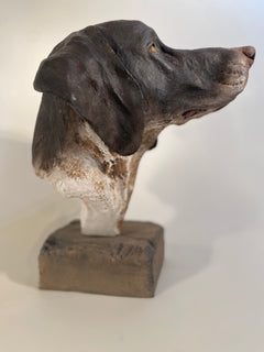 Pointer Bust