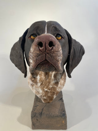 Pointer Bust