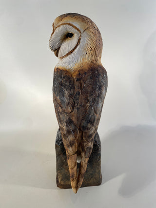 Barn Owl