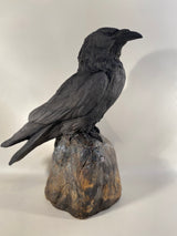 Raven