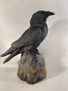 Raven