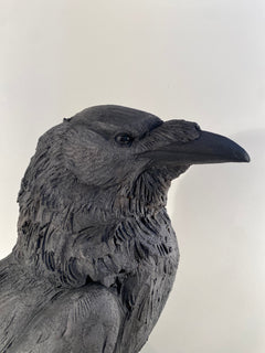 Raven