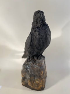 Raven