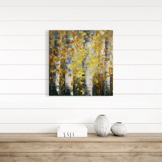 Small Autumn Birch Tree