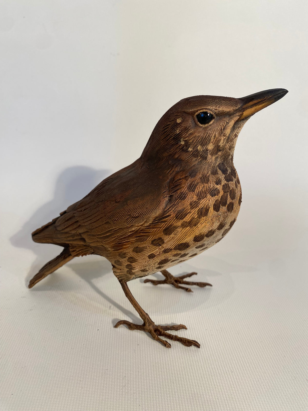 Starling