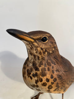 Starling