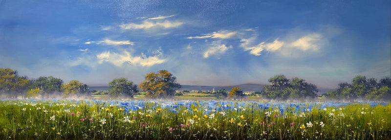 Bluebell Fields