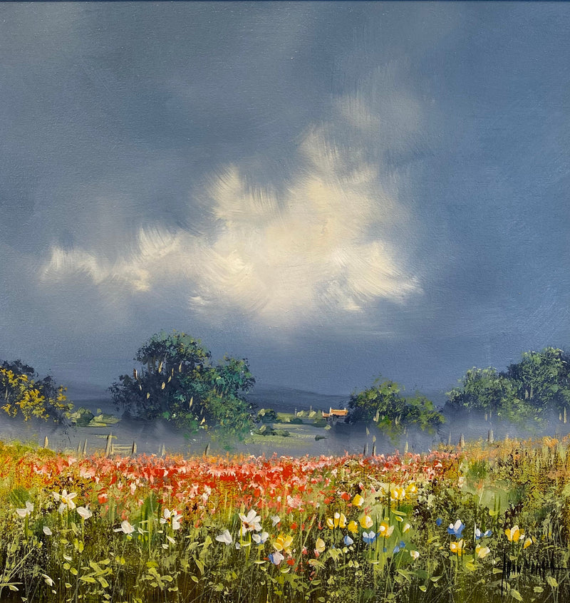 Poppy Meadow