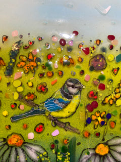 Blue Tit