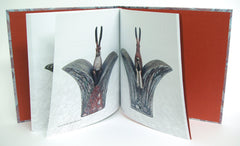 ""Both Sides" Hard back book" available at Artifex 