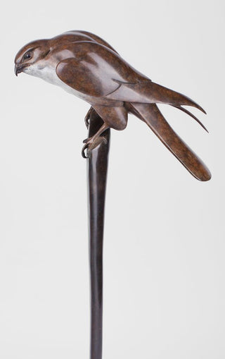 Kestral