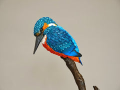 Threshold - Kingfisher
