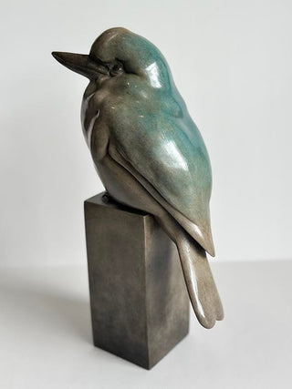 Kookaburra