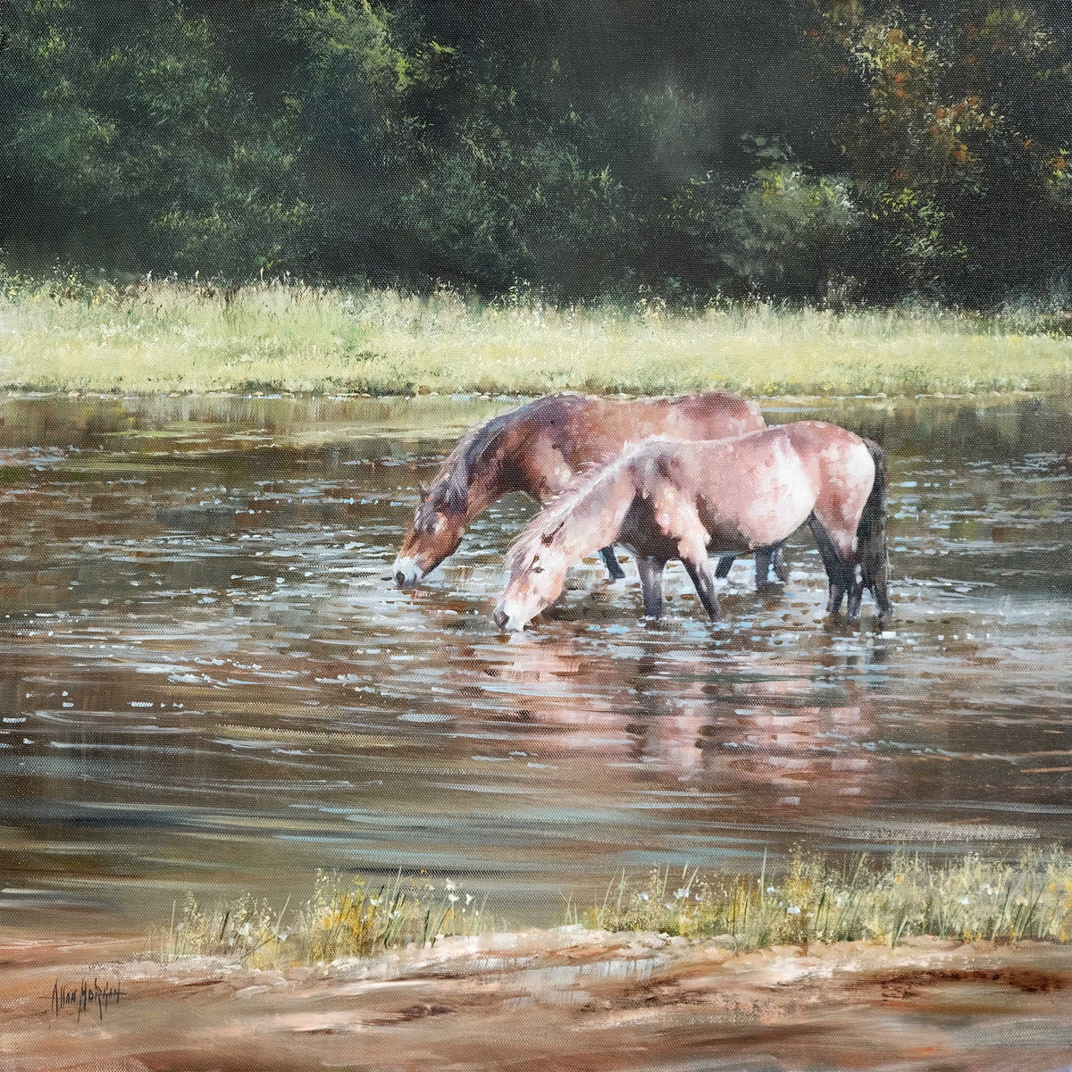 Little Bracebridge Horses