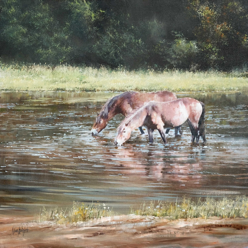 Little Bracebridge Horses