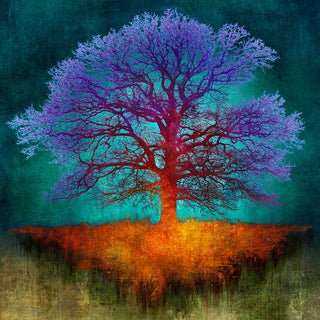 Dibond Print on brushed Aluminium Treescape