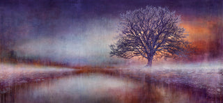 Dibond Print on brushed Aluminium Treescape