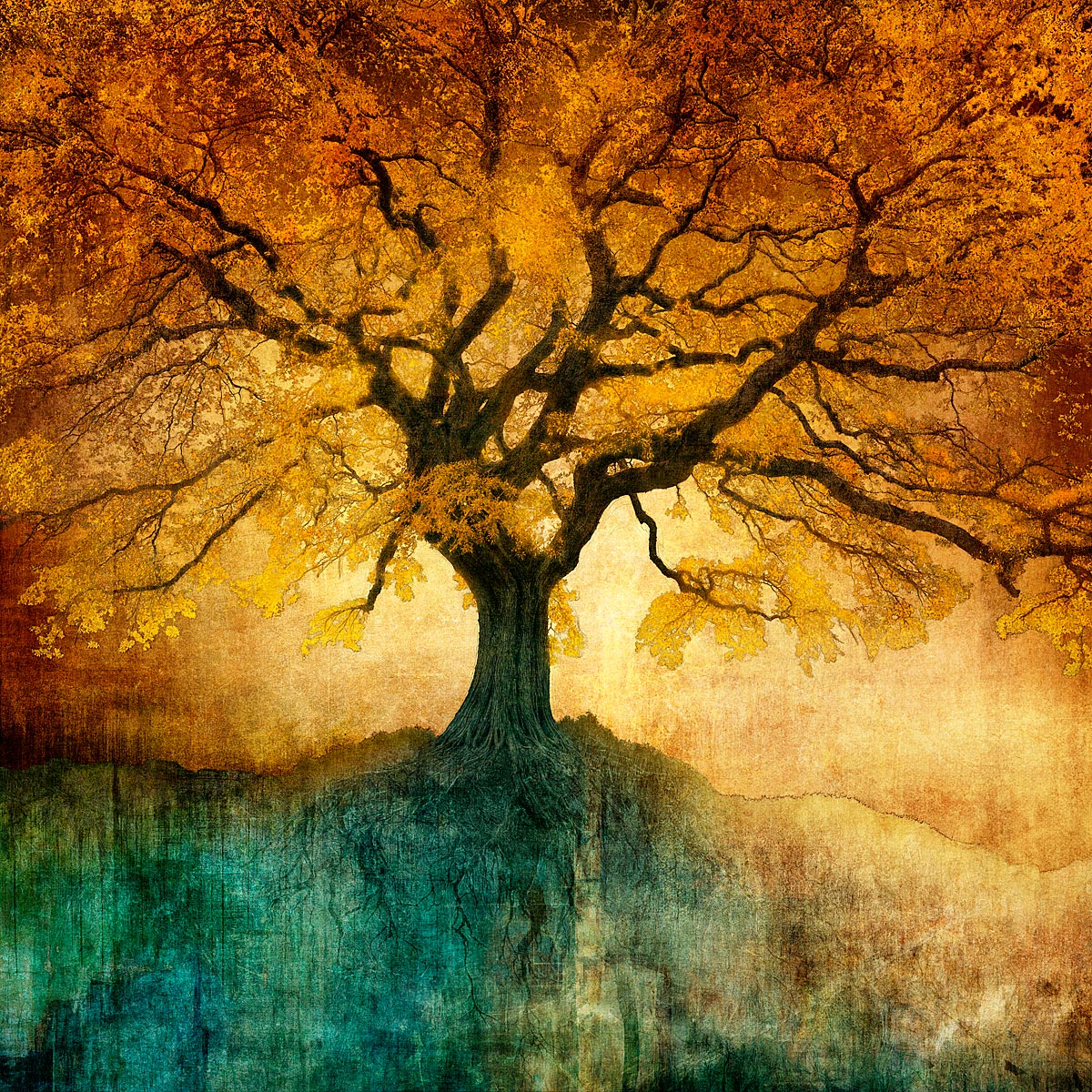 Dibond print on brushed aluminium art work 60 x 60 cm